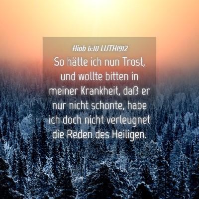 Picture 04 - Hiob 6:10 LUTH1912 - So hätte ich nun Trost, und wollte bitten in - Bible Verse Picture