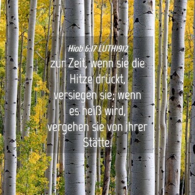 Picture 04 - Hiob 6:17 LUTH1912 - zur Zeit, wenn sie die Hitze drückt, versiegen - Bible Verse Picture