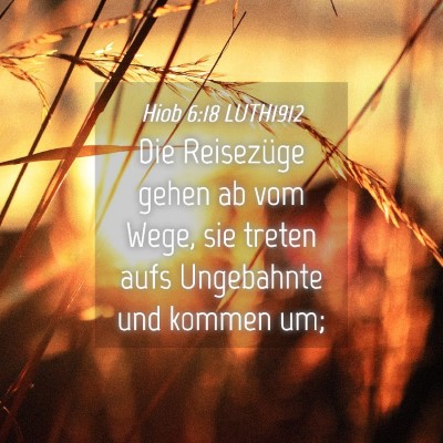 Picture 04 - Hiob 6:18 LUTH1912 - Die Reisezüge gehen ab vom Wege, sie treten aufs - Bible Verse Picture