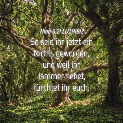 Picture 04 - Hiob 6:21 LUTH1912 - So seid ihr jetzt ein Nichts geworden, und weil - Bible Verse Picture
