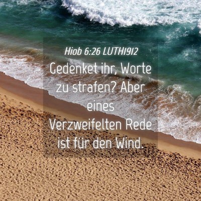 Picture 04 - Hiob 6:26 LUTH1912 - Gedenket ihr, Worte zu strafen? Aber eines - Bible Verse Picture