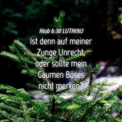 Picture 04 - Hiob 6:30 LUTH1912 - Ist denn auf meiner Zunge Unrecht, oder sollte - Bible Verse Picture