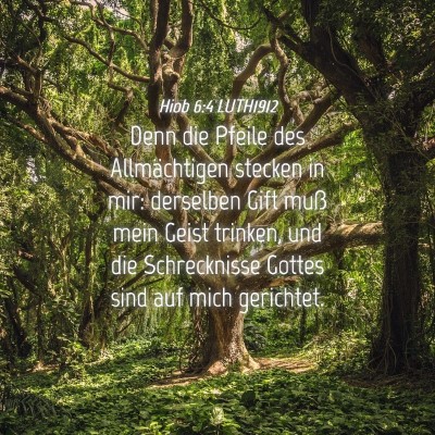 Picture 04 - Hiob 6:4 LUTH1912 - Denn die Pfeile des Allmächtigen stecken in mir: - Bible Verse Picture