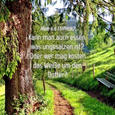 Picture 04 - Hiob 6:6 LUTH1912 - Kann man auch essen, was ungesalzen ist? Oder wer - Bible Verse Picture