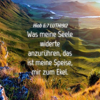 Picture 04 - Hiob 6:7 LUTH1912 - Was meine Seele widerte anzurühren, das ist - Bible Verse Picture