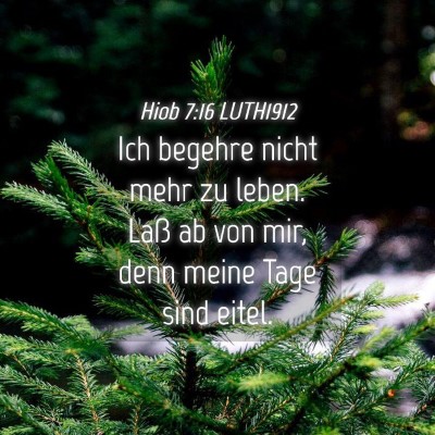 Picture 04 - Hiob 7:16 LUTH1912 - Ich begehre nicht mehr zu leben. Laß ab von mir, - Bible Verse Picture