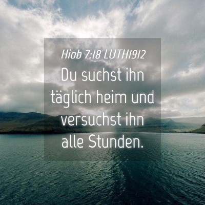 Picture 04 - Hiob 7:18 LUTH1912 - Du suchst ihn täglich heim und versuchst ihn - Bible Verse Picture