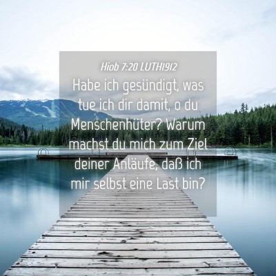 Picture 04 - Hiob 7:20 LUTH1912 - Habe ich gesündigt, was tue ich dir damit, o du - Bible Verse Picture