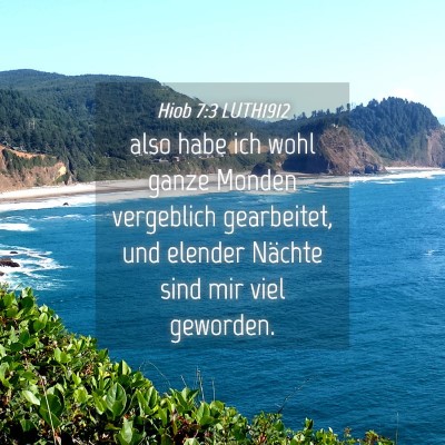 Picture 04 - Hiob 7:3 LUTH1912 - also habe ich wohl ganze Monden vergeblich - Bible Verse Picture
