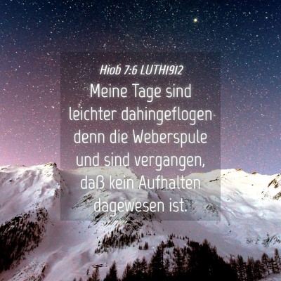 Picture 04 - Hiob 7:6 LUTH1912 - Meine Tage sind leichter dahingeflogen denn die - Bible Verse Picture
