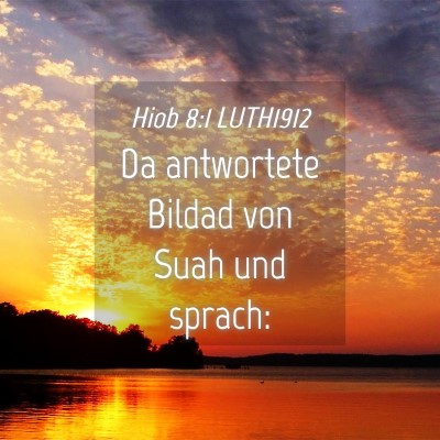Picture 04 - Hiob 8:1 LUTH1912 - Da antwortete Bildad von Suah und - Bible Verse Picture