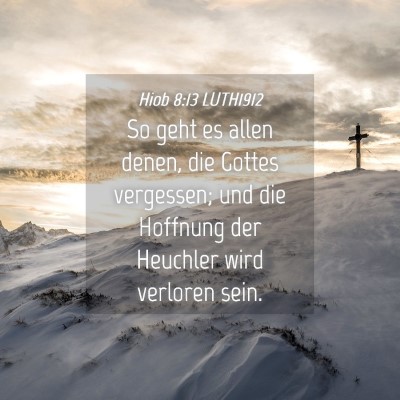 Picture 04 - Hiob 8:13 LUTH1912 - So geht es allen denen, die Gottes vergessen; und - Bible Verse Picture