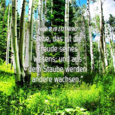 Picture 04 - Hiob 8:19 LUTH1912 - Siehe, das ist die Freude seines Wesens; und aus - Bible Verse Picture