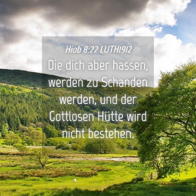 Picture 04 - Hiob 8:22 LUTH1912 - Die dich aber hassen, werden zu Schanden werden, - Bible Verse Picture