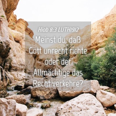 Picture 04 - Hiob 8:3 LUTH1912 - Meinst du, daß Gott unrecht richte oder der - Bible Verse Picture