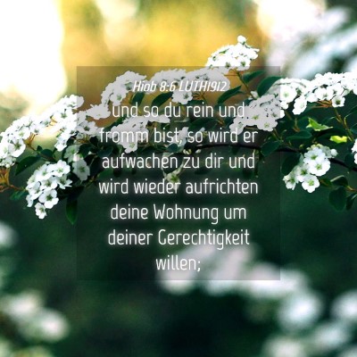 Picture 04 - Hiob 8:6 LUTH1912 - und so du rein und fromm bist, so wird er - Bible Verse Picture