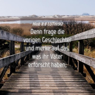Picture 04 - Hiob 8:8 LUTH1912 - Denn frage die vorigen Geschlechter und merke auf - Bible Verse Picture