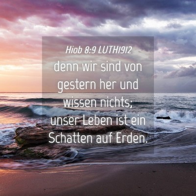 Picture 04 - Hiob 8:9 LUTH1912 - denn wir sind von gestern her und wissen nichts; - Bible Verse Picture