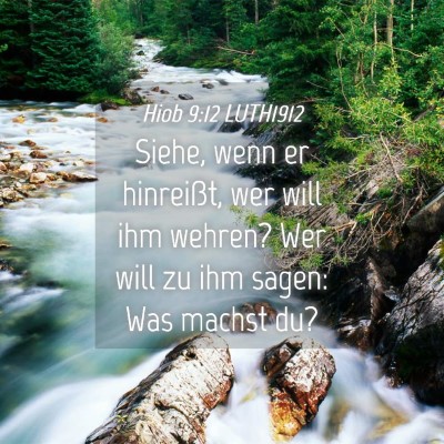 Picture 04 - Hiob 9:12 LUTH1912 - Siehe, wenn er hinreißt, wer will ihm wehren? - Bible Verse Picture