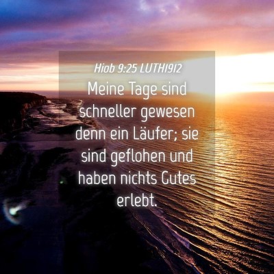 Picture 04 - Hiob 9:25 LUTH1912 - Meine Tage sind schneller gewesen denn ein - Bible Verse Picture