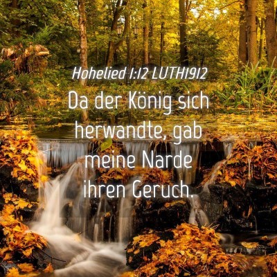 Picture 04 - Hohelied 1:12 LUTH1912 - Da der König sich herwandte, gab meine Narde - Bible Verse Picture