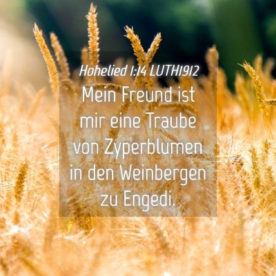 Picture 04 - Hohelied 1:14 LUTH1912 - Mein Freund ist mir eine Traube von Zyperblumen - Bible Verse Picture