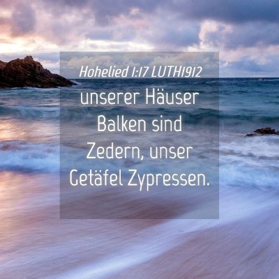 Picture 04 - Hohelied 1:17 LUTH1912 - unserer Häuser Balken sind Zedern, unser - Bible Verse Picture