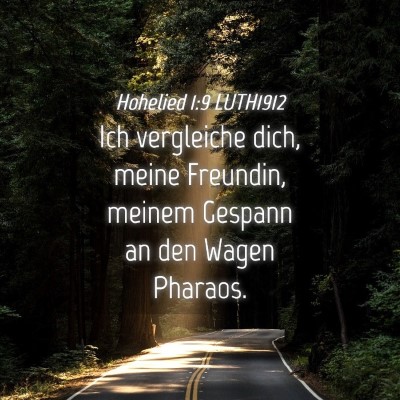 Picture 04 - Hohelied 1:9 LUTH1912 - Ich vergleiche dich, meine Freundin, meinem - Bible Verse Picture