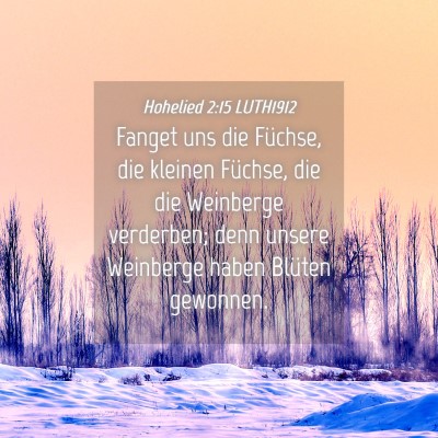 Picture 04 - Hohelied 2:15 LUTH1912 - Fanget uns die Füchse, die kleinen Füchse, die - Bible Verse Picture