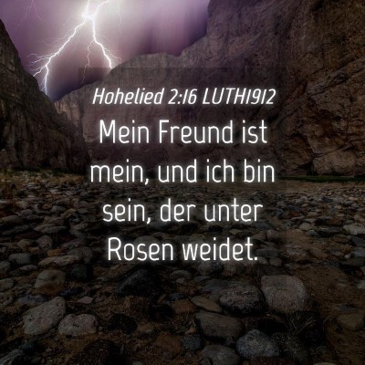 Picture 04 - Hohelied 2:16 LUTH1912 - Mein Freund ist mein, und ich bin sein, der unter - Bible Verse Picture