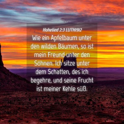 Picture 04 - Hohelied 2:3 LUTH1912 - Wie ein Apfelbaum unter den wilden Bäumen, so - Bible Verse Picture