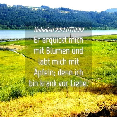 Picture 04 - Hohelied 2:5 LUTH1912 - Er erquickt mich mit Blumen und labt mich mit - Bible Verse Picture