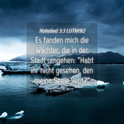 Picture 04 - Hohelied 3:3 LUTH1912 - Es fanden mich die Wächter, die in der Stadt - Bible Verse Picture