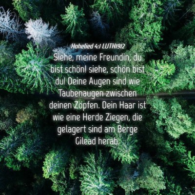 Picture 04 - Hohelied 4:1 LUTH1912 - Siehe, meine Freundin, du bist schön! siehe, - Bible Verse Picture