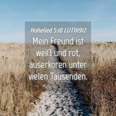 Picture 04 - Hohelied 5:10 LUTH1912 - Mein Freund ist weiß und rot, auserkoren unter - Bible Verse Picture