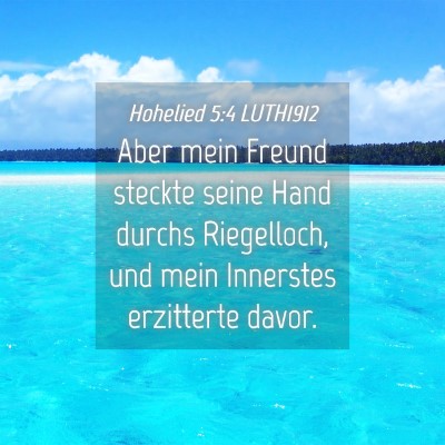 Picture 04 - Hohelied 5:4 LUTH1912 - Aber mein Freund steckte seine Hand durchs - Bible Verse Picture