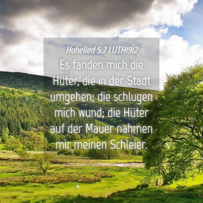 Picture 04 - Hohelied 5:7 LUTH1912 - Es fanden mich die Hüter, die in der Stadt - Bible Verse Picture