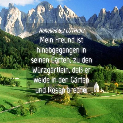 Picture 04 - Hohelied 6:2 LUTH1912 - Mein Freund ist hinabgegangen in seinen Garten, - Bible Verse Picture