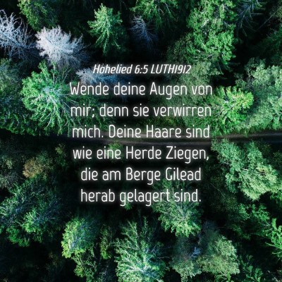 Picture 04 - Hohelied 6:5 LUTH1912 - Wende deine Augen von mir; denn sie verwirren - Bible Verse Picture
