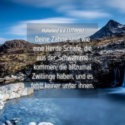 Picture 04 - Hohelied 6:6 LUTH1912 - Deine Zähne sind wie eine Herde Schafe, die aus - Bible Verse Picture