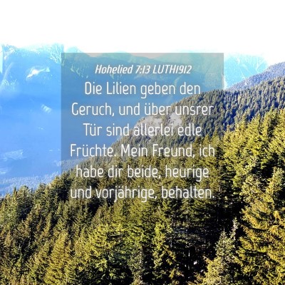 Picture 04 - Hohelied 7:13 LUTH1912 - Die Lilien geben den Geruch, und über unsrer - Bible Verse Picture