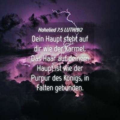 Picture 04 - Hohelied 7:5 LUTH1912 - Dein Haupt steht auf dir wie der Karmel. Das Haar - Bible Verse Picture