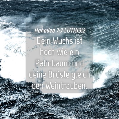 Picture 04 - Hohelied 7:7 LUTH1912 - Dein Wuchs ist hoch wie ein Palmbaum und deine - Bible Verse Picture