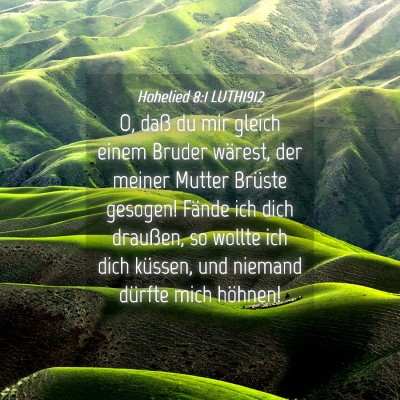 Picture 04 - Hohelied 8:1 LUTH1912 - O, daß du mir gleich einem Bruder wärest, der - Bible Verse Picture