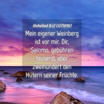 Picture 04 - Hohelied 8:12 LUTH1912 - Mein eigener Weinberg ist vor mir. Dir, Salomo, - Bible Verse Picture