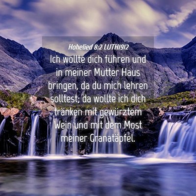 Picture 04 - Hohelied 8:2 LUTH1912 - Ich wollte dich führen und in meiner Mutter Haus - Bible Verse Picture