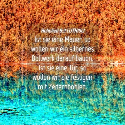 Picture 04 - Hohelied 8:9 LUTH1912 - Ist sie eine Mauer, so wollen wir ein silbernes - Bible Verse Picture