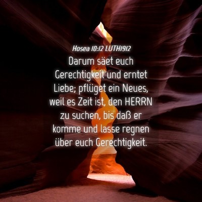 Picture 04 - Hosea 10:12 LUTH1912 - Darum säet euch Gerechtigkeit und erntet Liebe; - Bible Verse Picture