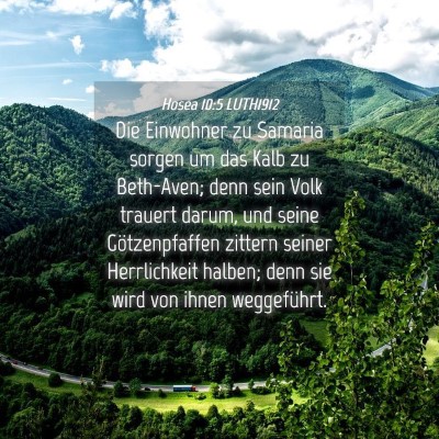 Picture 04 - Hosea 10:5 LUTH1912 - Die Einwohner zu Samaria sorgen um das Kalb zu - Bible Verse Picture