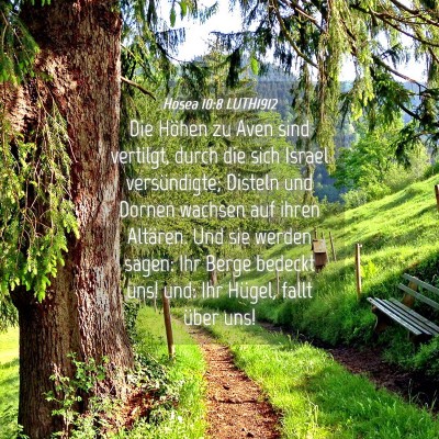 Picture 04 - Hosea 10:8 LUTH1912 - Die Höhen zu Aven sind vertilgt, durch die sich - Bible Verse Picture